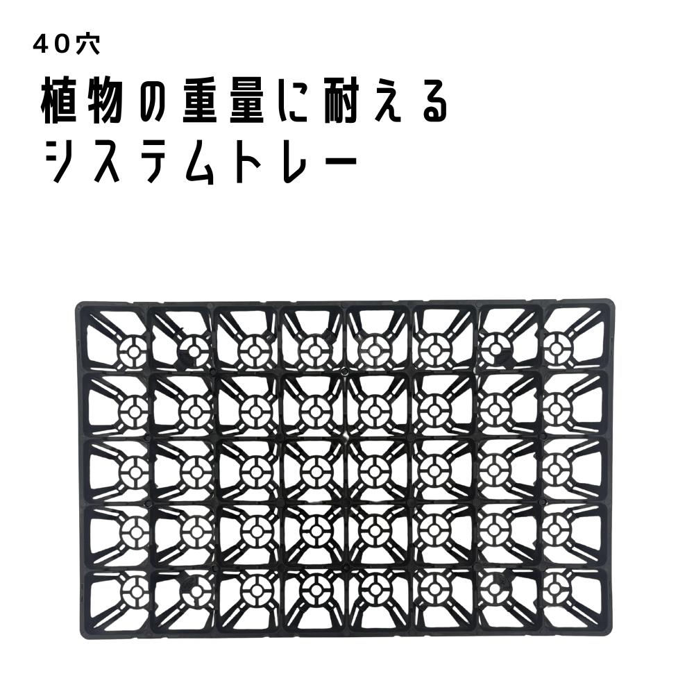 システムトレー75cs(40穴)