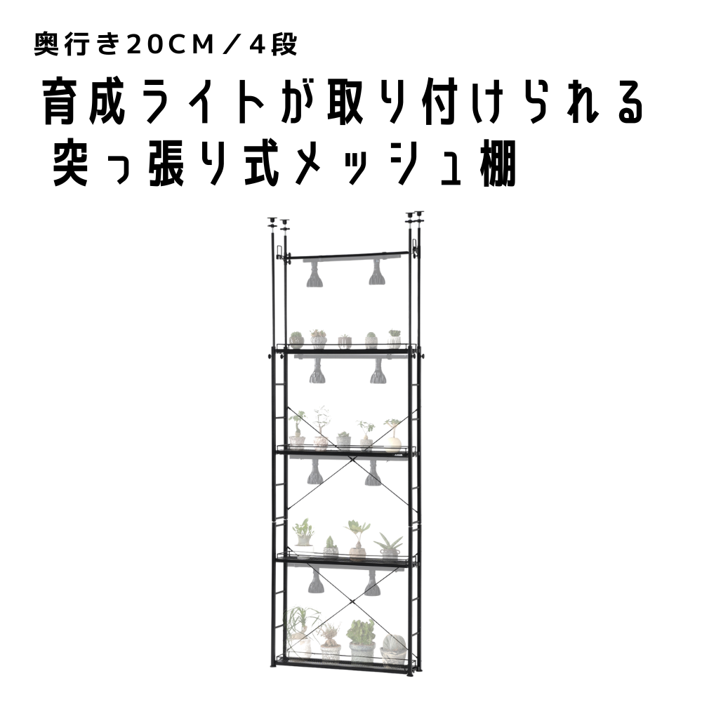 ビザールプランツラックスリム