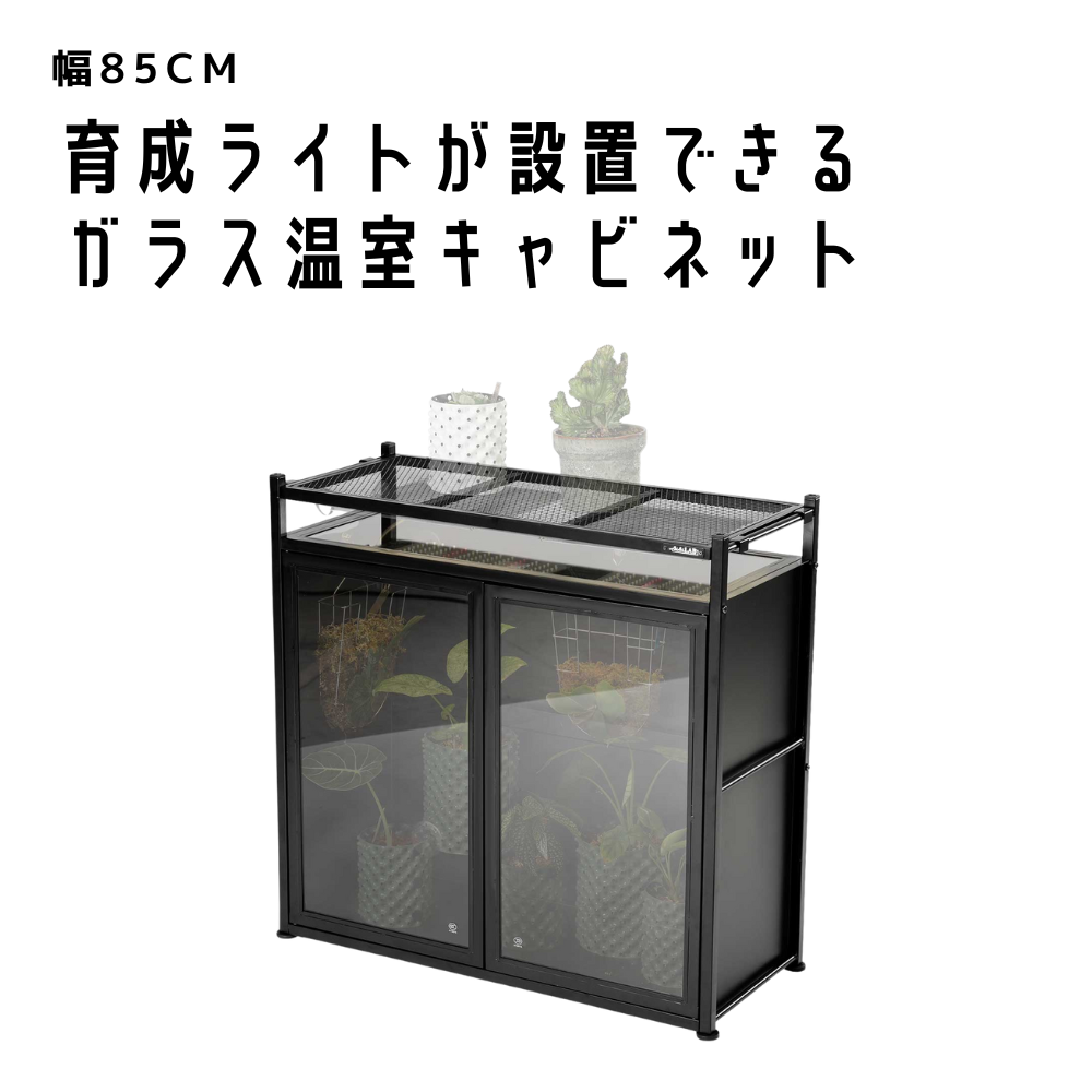 ビザールプランツラック キャビネット