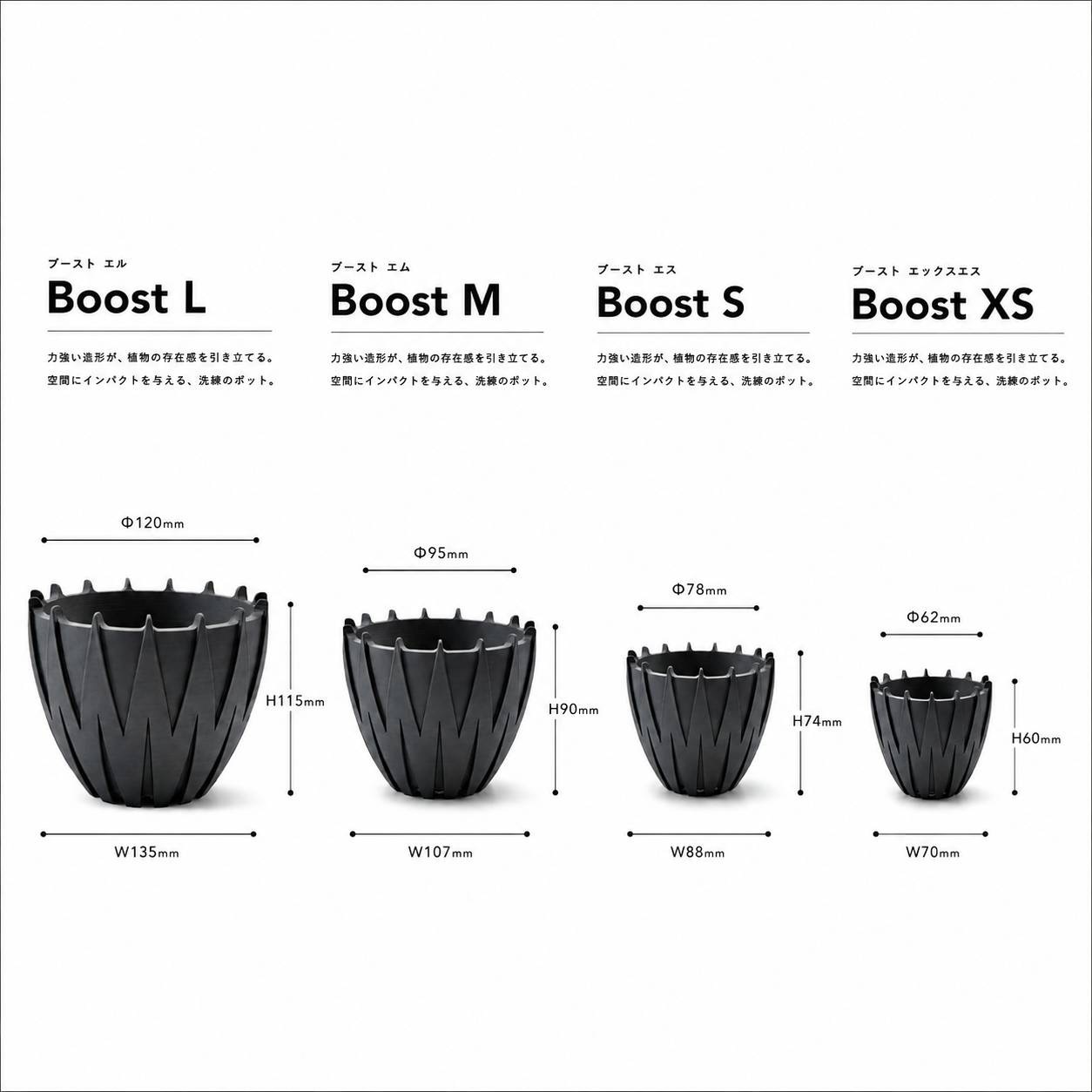 Boost/3D鉢
