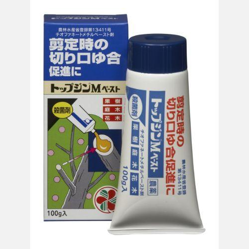 トップジンMペースト