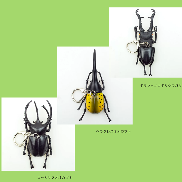 立体甲虫キーホルダー