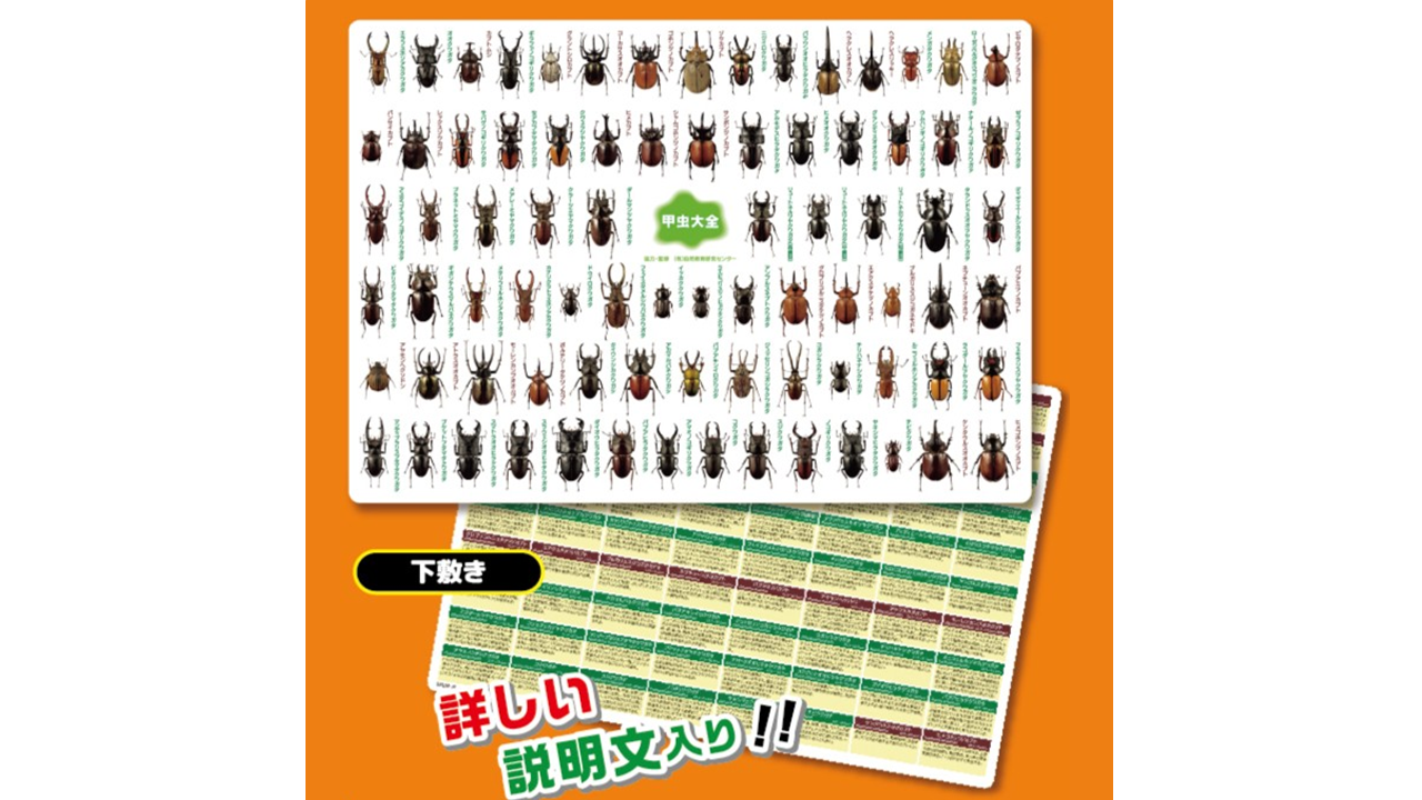 下敷き 甲虫大全 NEW