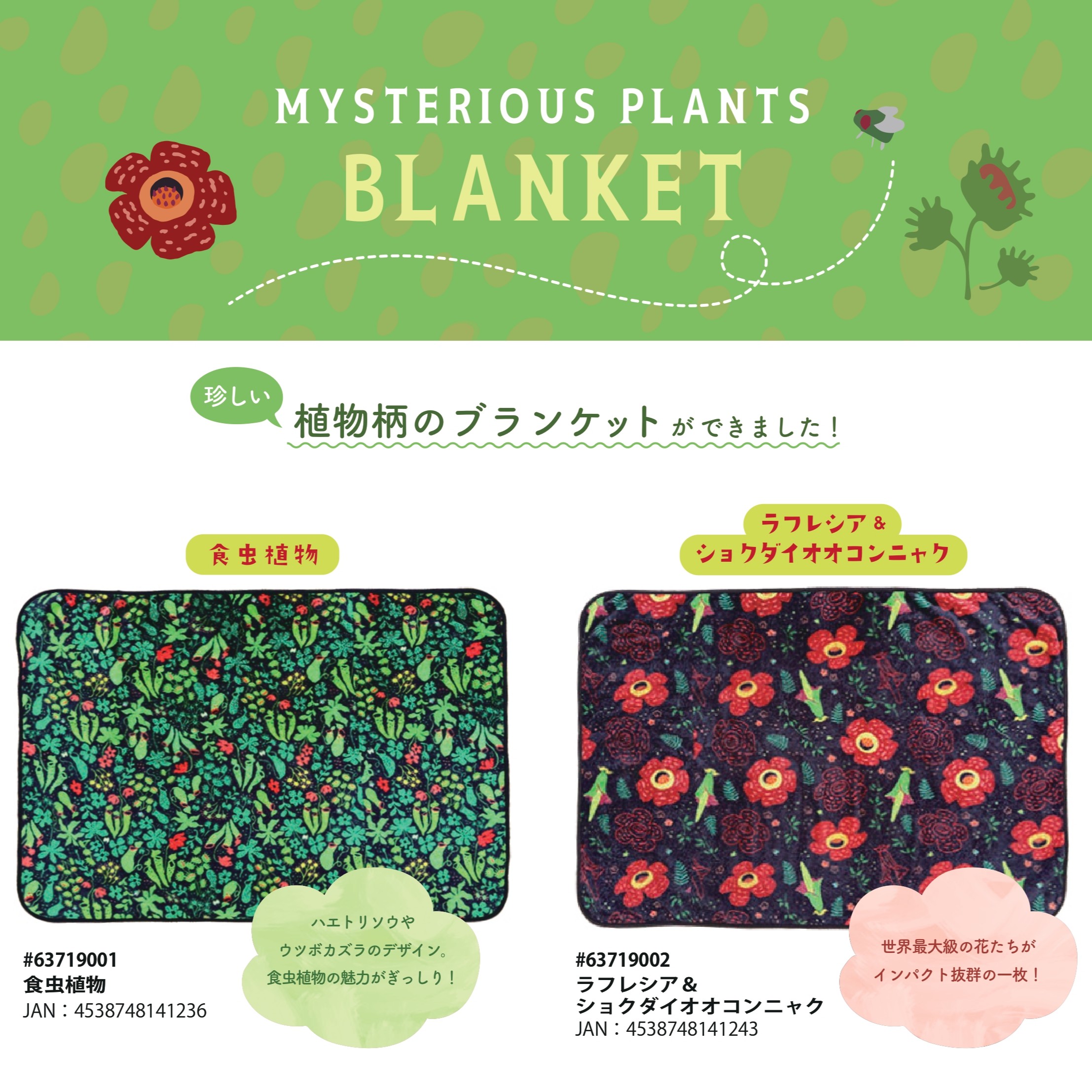 ﾌﾞﾗﾝｹｯﾄ ﾐｽﾃﾘｱｽﾌﾟﾗﾝﾂ