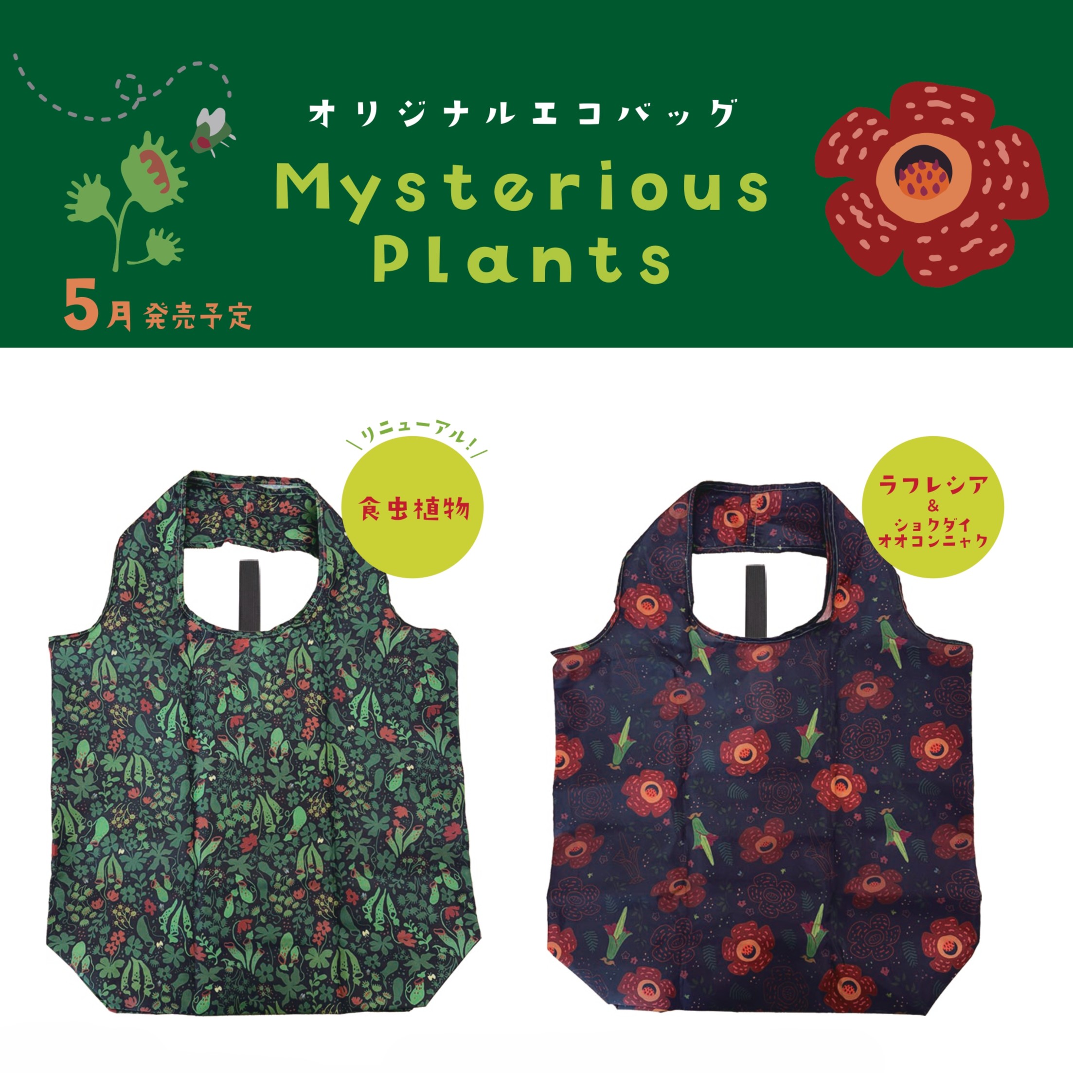 ｵﾘｼﾞﾅﾙｴｺﾊﾞｯｸﾞ ﾐｽﾃﾘｱｽﾌﾟﾗﾝﾂ