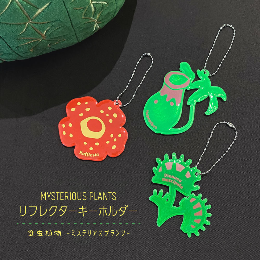 ﾘﾌﾚｸﾀｰ ﾐｽﾃﾘｱｽﾌﾟﾗﾝﾂ