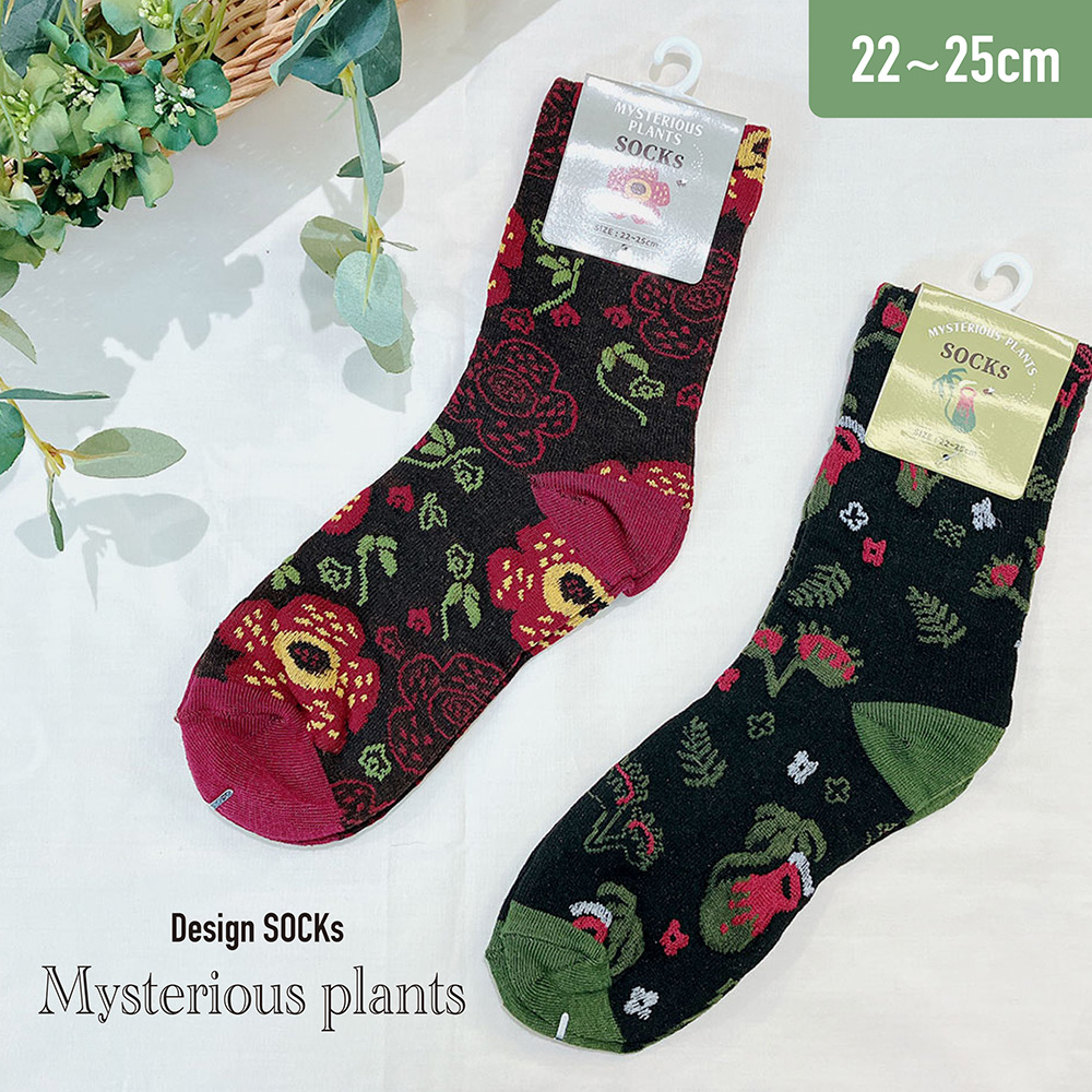 靴下 ﾐｽﾃﾘｱｽﾌﾟﾗﾝﾂ 22～25cm