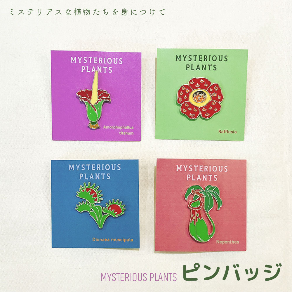 ﾋﾟﾝﾊﾞｯｼﾞ ﾐｽﾃﾘｱｽﾌﾟﾗﾝﾂ