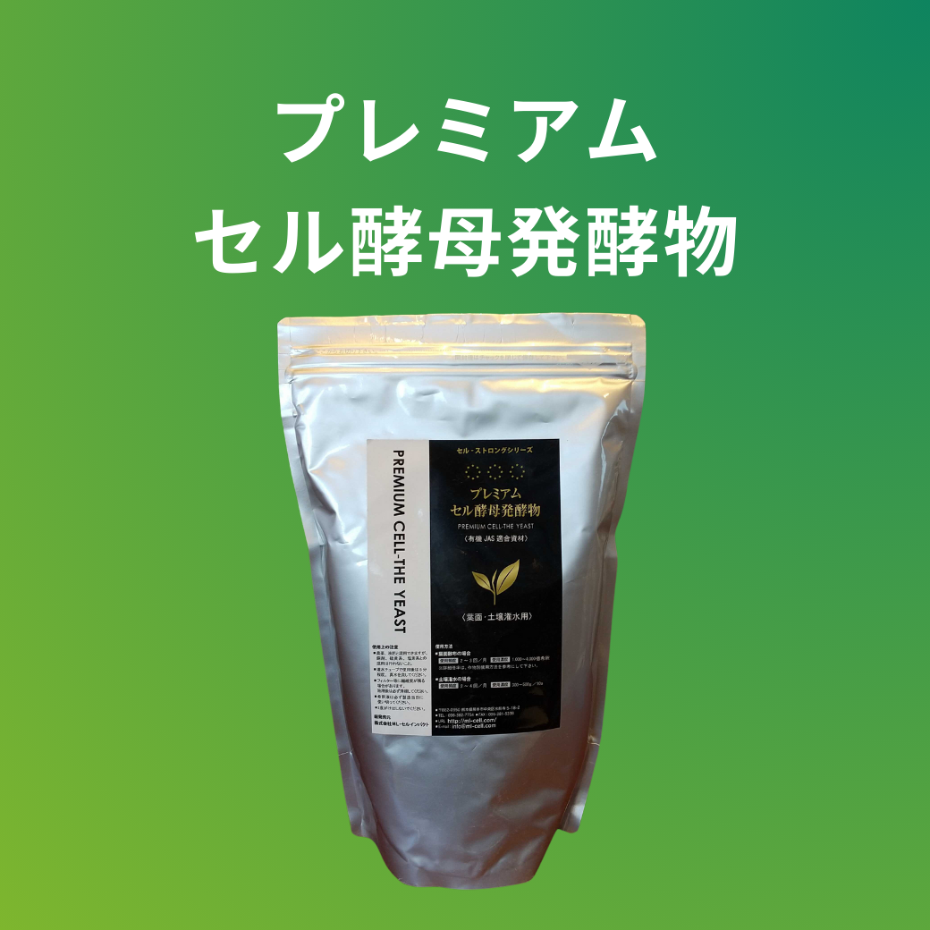 プレミアムセル酵母発酵物