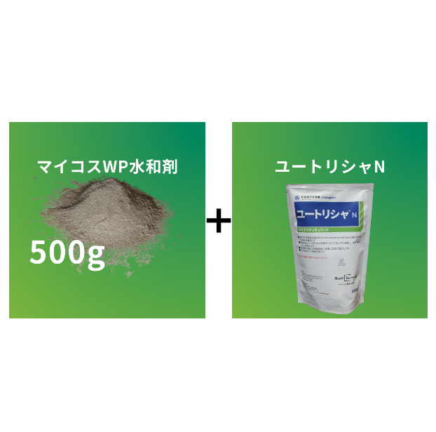 【NEW_ユートリシャ併用試験セット】