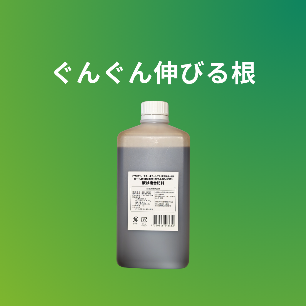 ぐんぐん伸びる根（イーストガード）