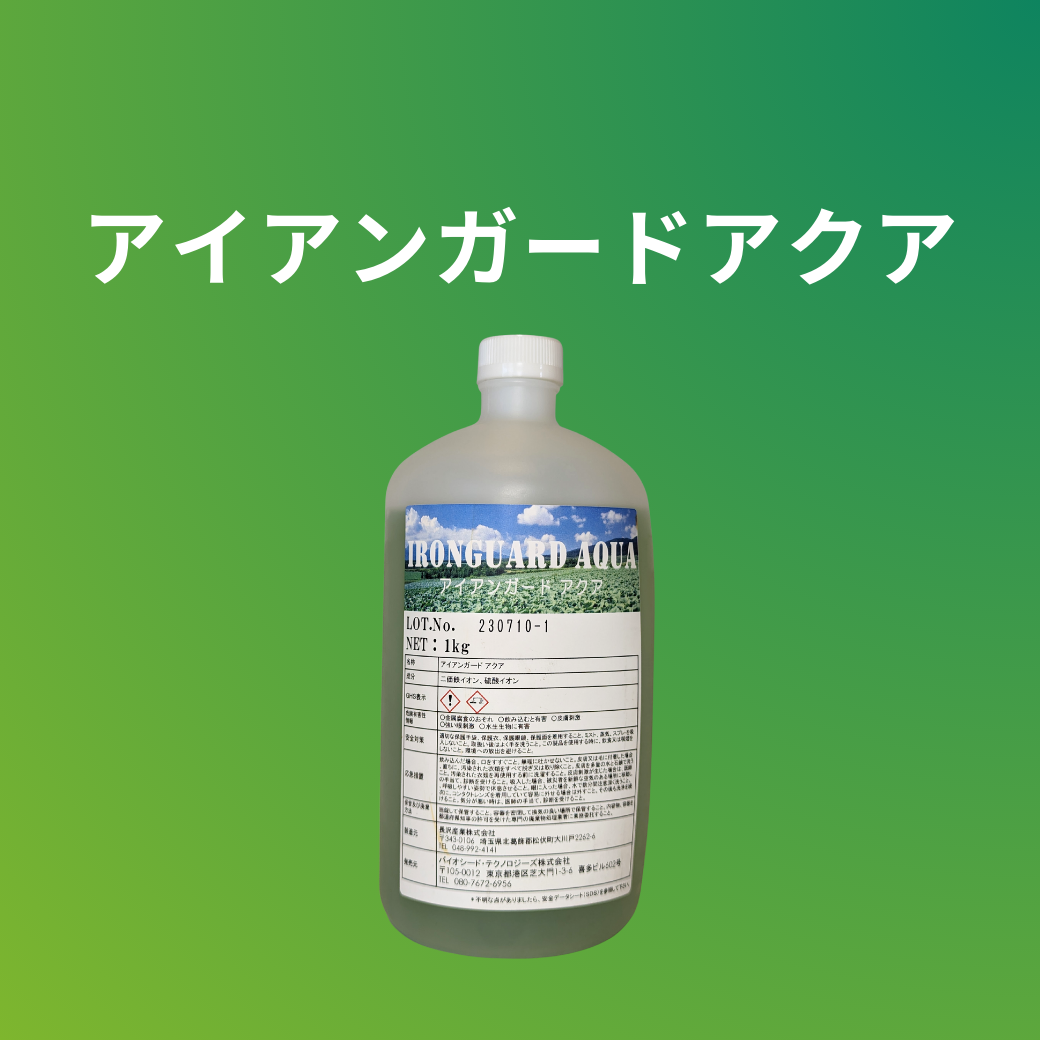 アイアンガード