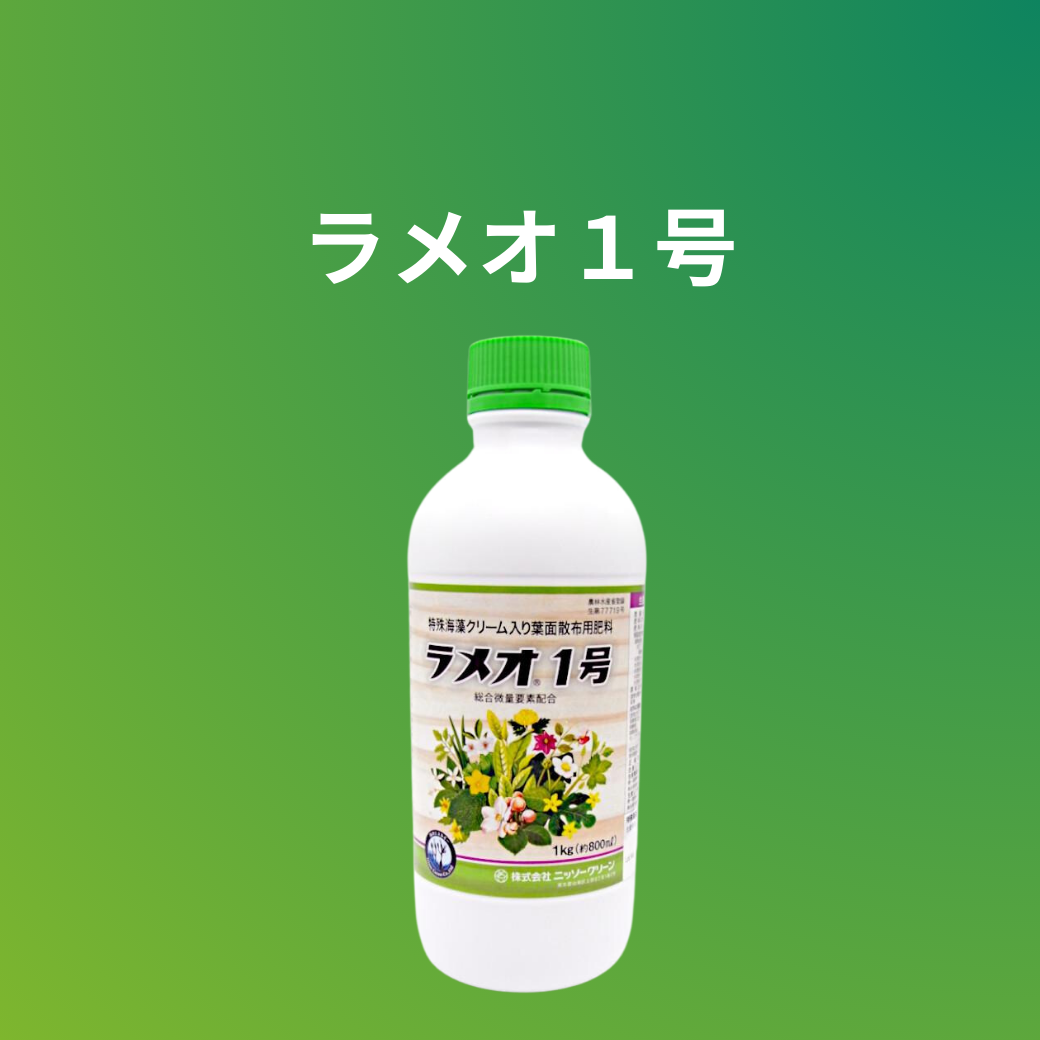 ラメオ1号