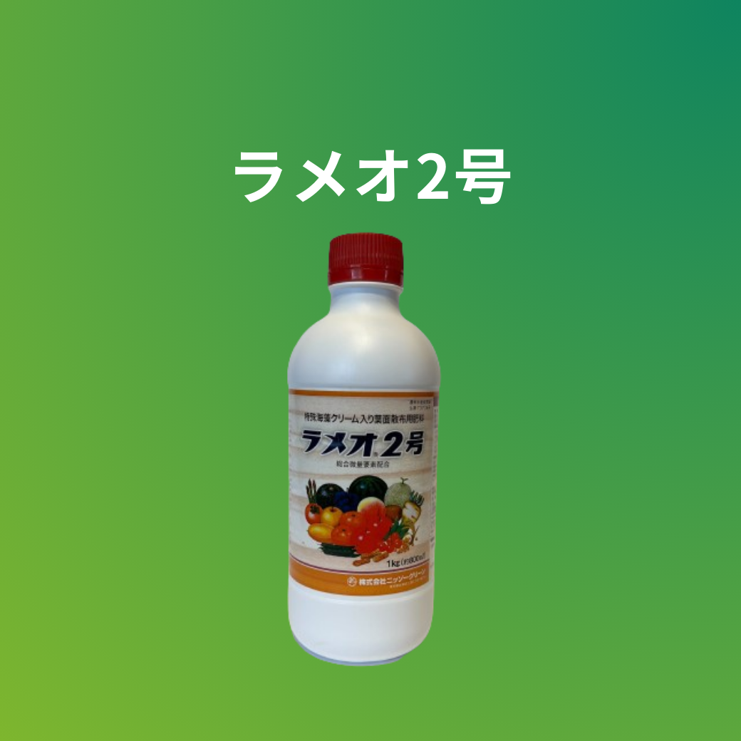 ラメオ2号