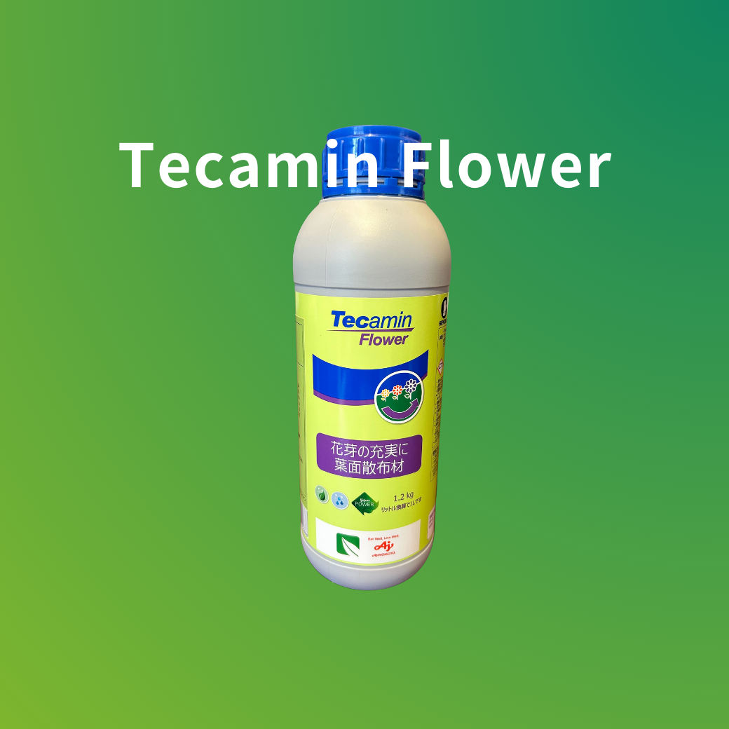 TecaminFlower