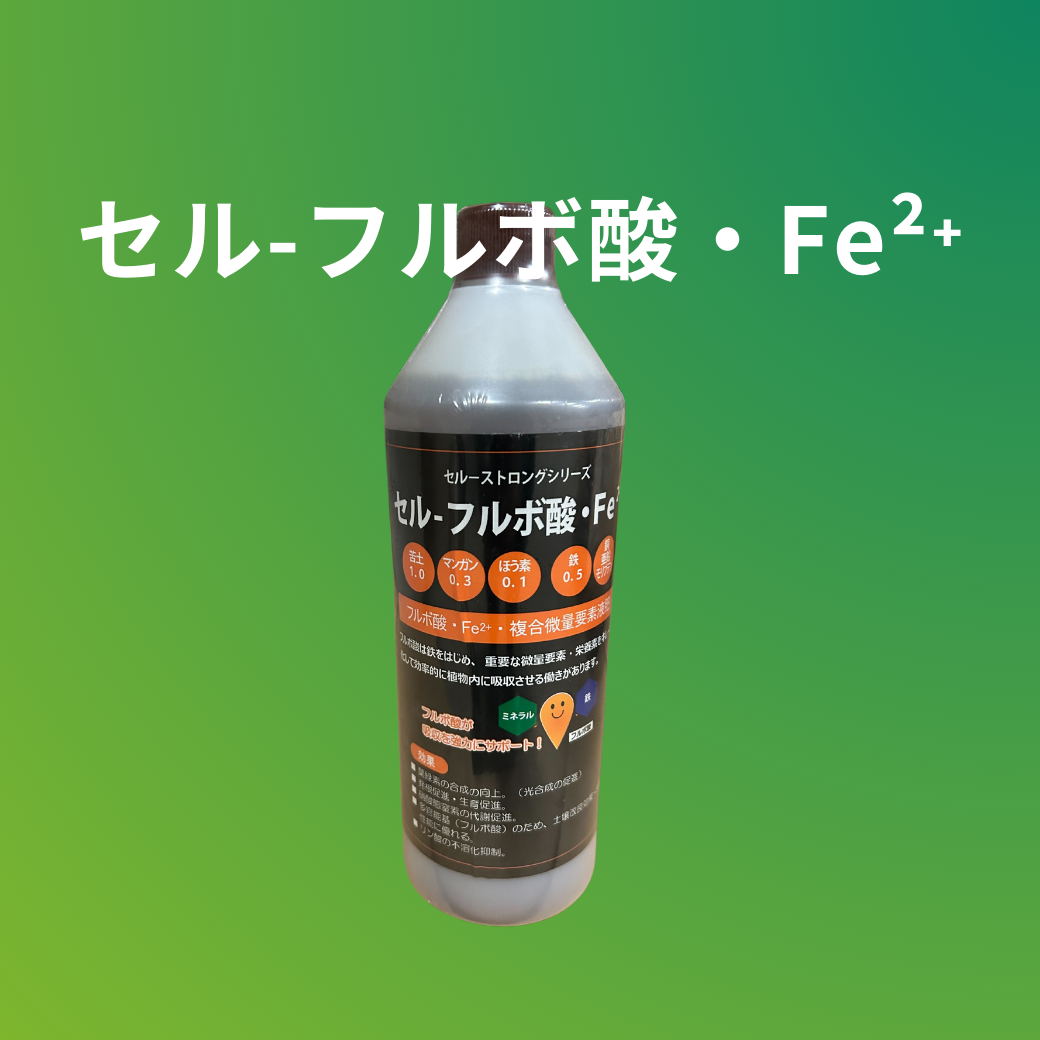 セル・フルボ酸Fe2+
