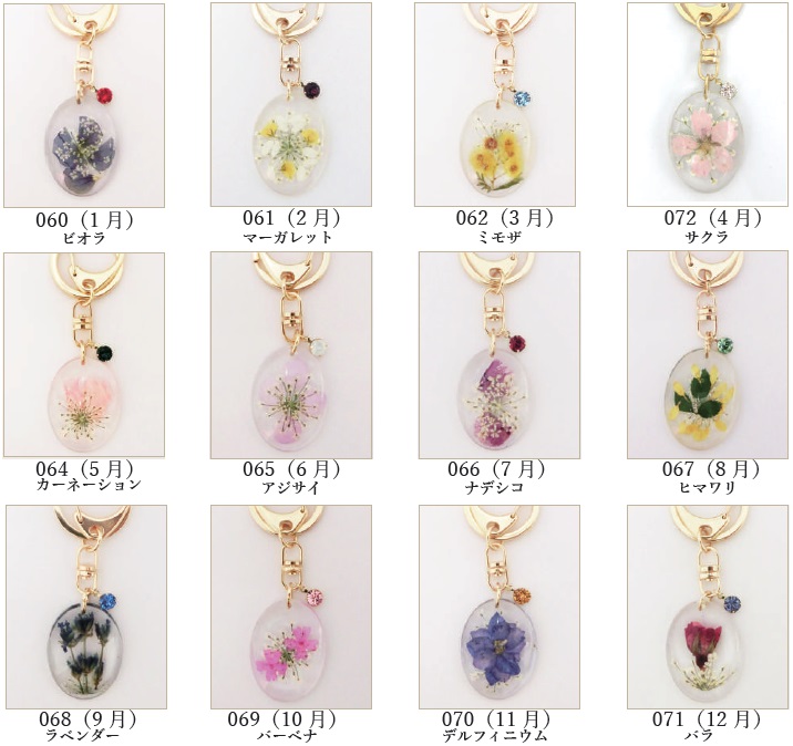 FTZ-0404 誕生花ｷｰﾎﾙﾀﾞｰ (12ヶ月)