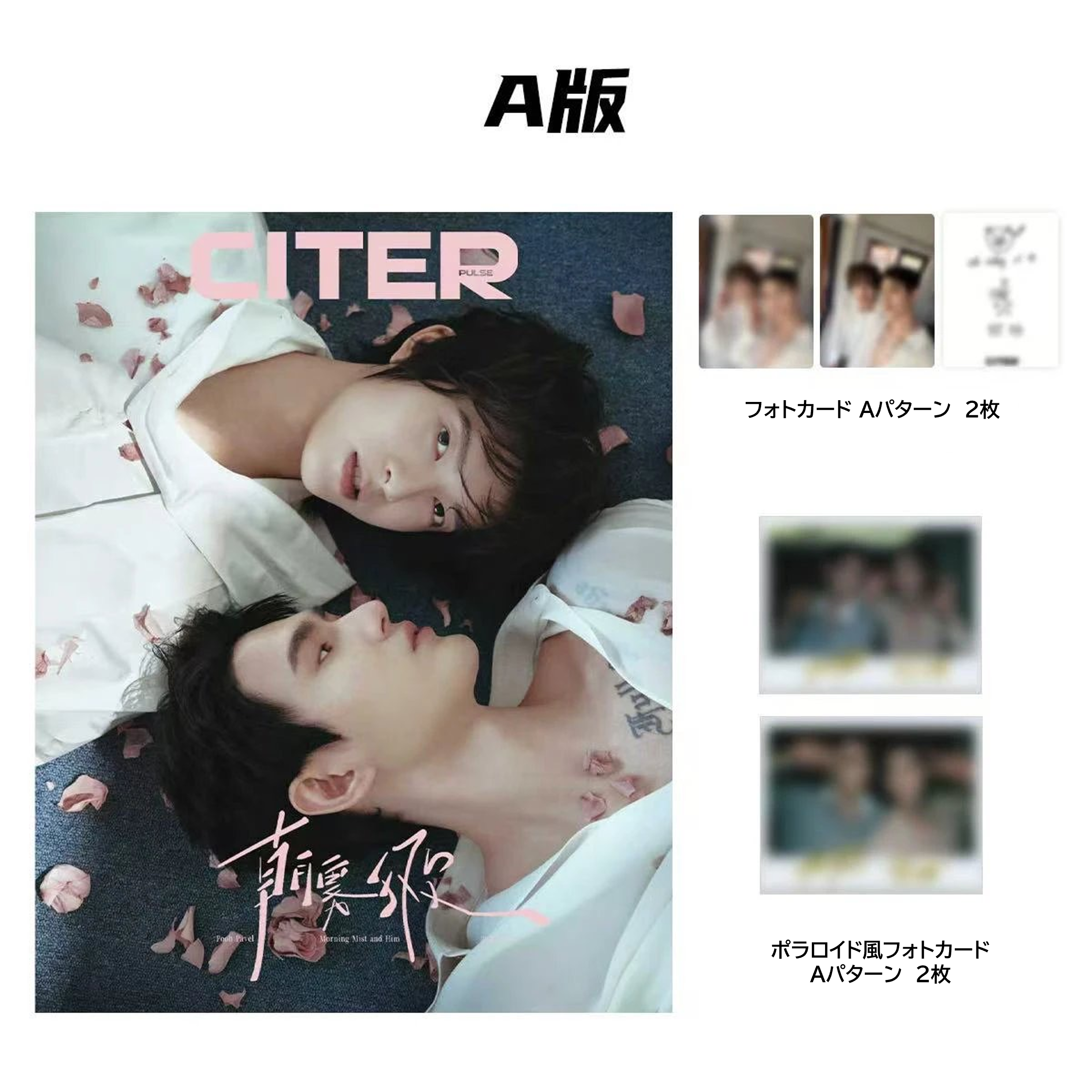 【2/26(木) 15時〆切】 CITER Pooh&Pavel