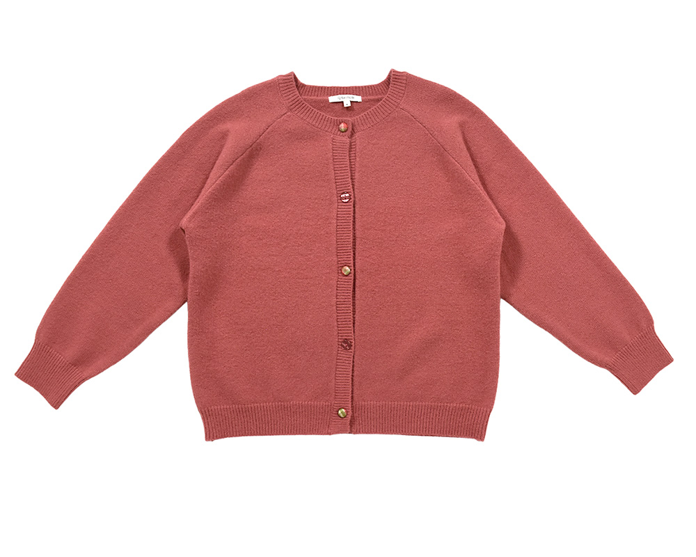 いろいろﾎﾞﾀﾝｶｰﾃﾞｨｶﾞﾝ