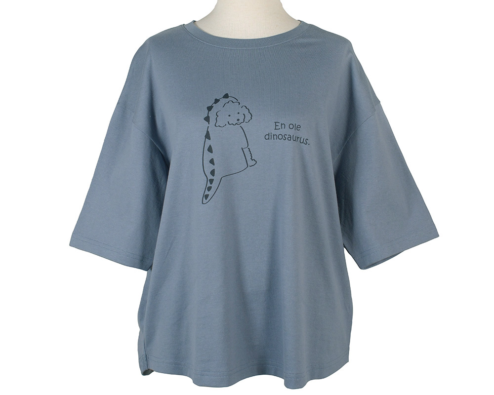 恐竜ﾁｬﾛﾌﾟﾘﾝﾄTｼｬﾂ