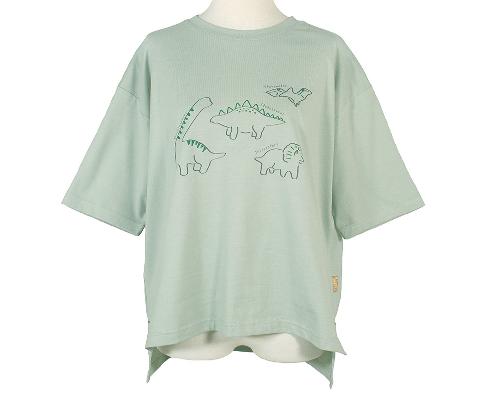 恐竜図鑑ﾌﾟﾘﾝﾄTｼｬﾂ