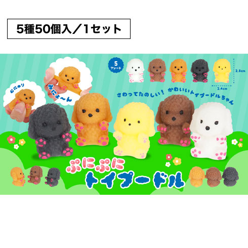 ぷにぷにトイプードル