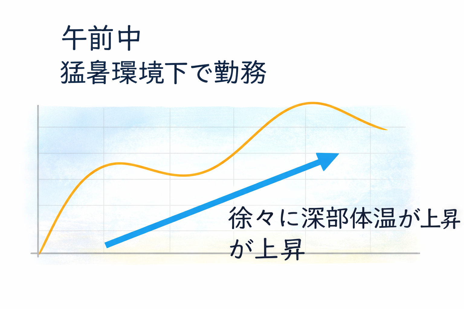 深部体温の変化イメージ