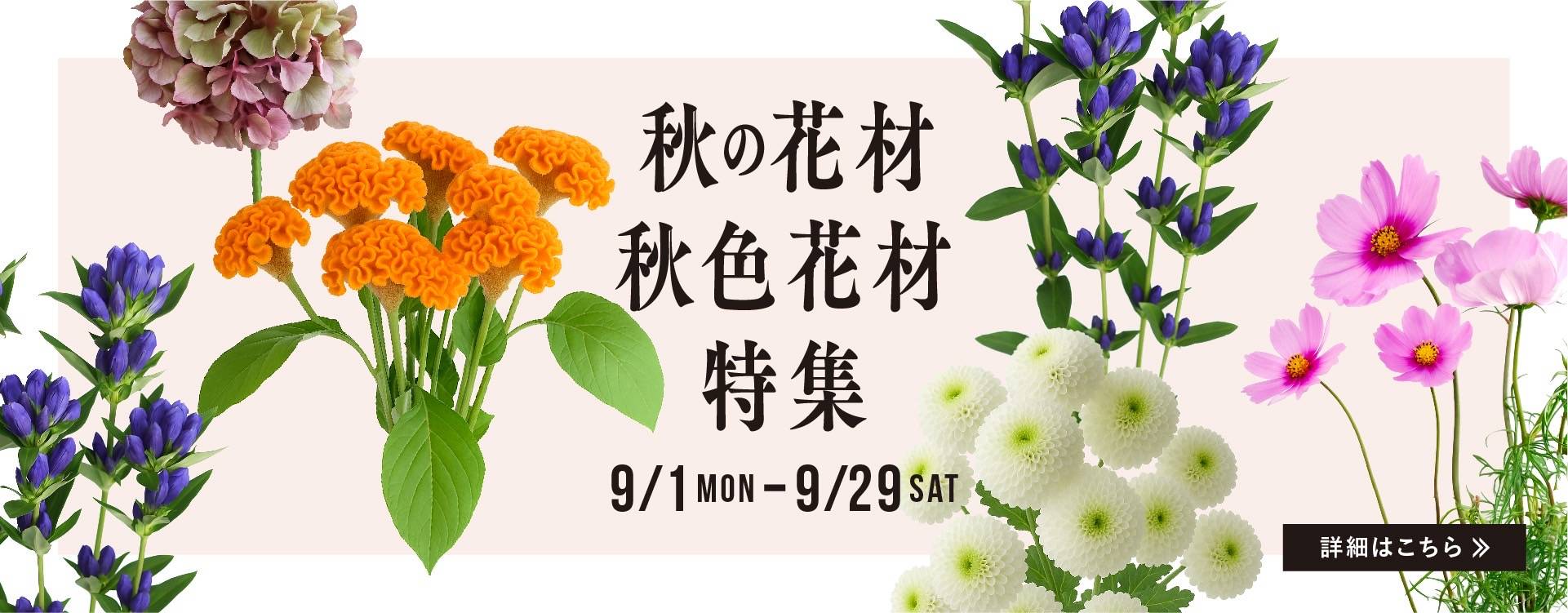 秋色