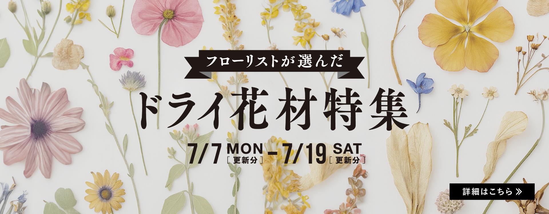 ドライ花材