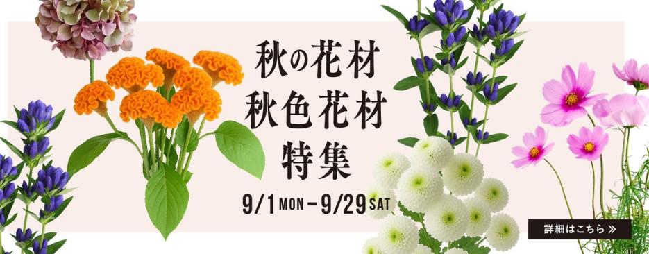 秋色