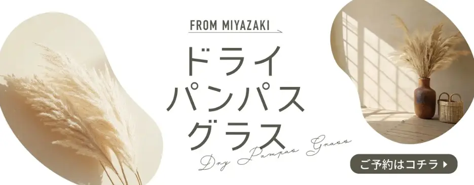 パンパス