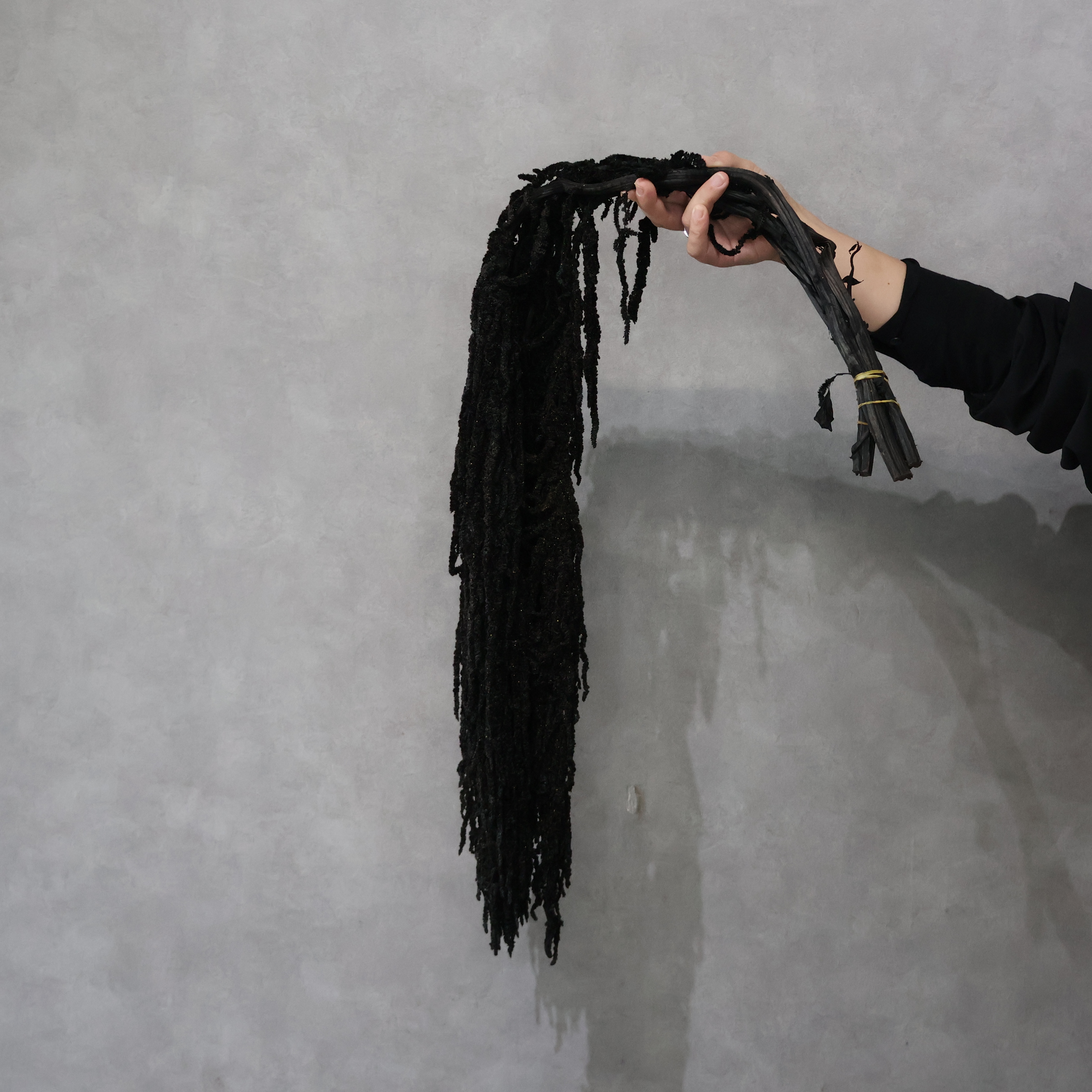 アマランサス　プリザーブドブラック 80-120cm