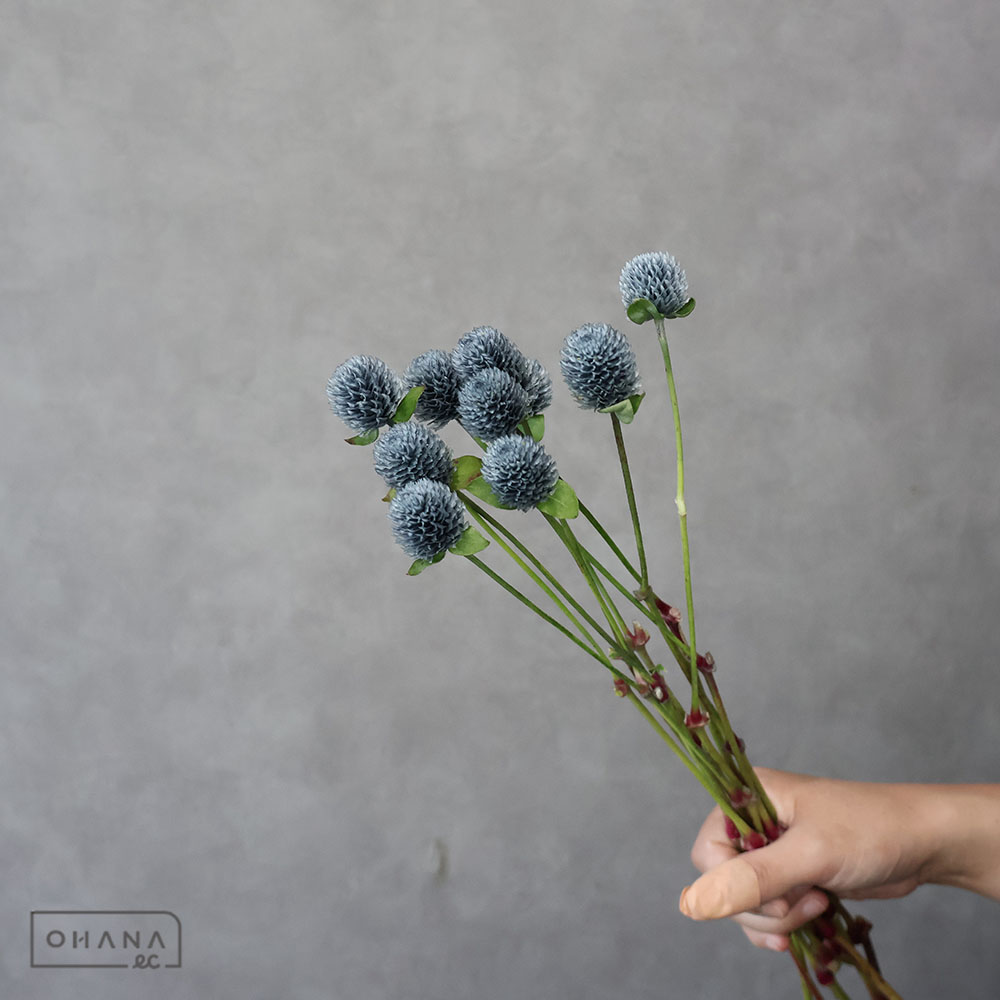 千日紅　ソメアッシュグレイ　40CM1輪