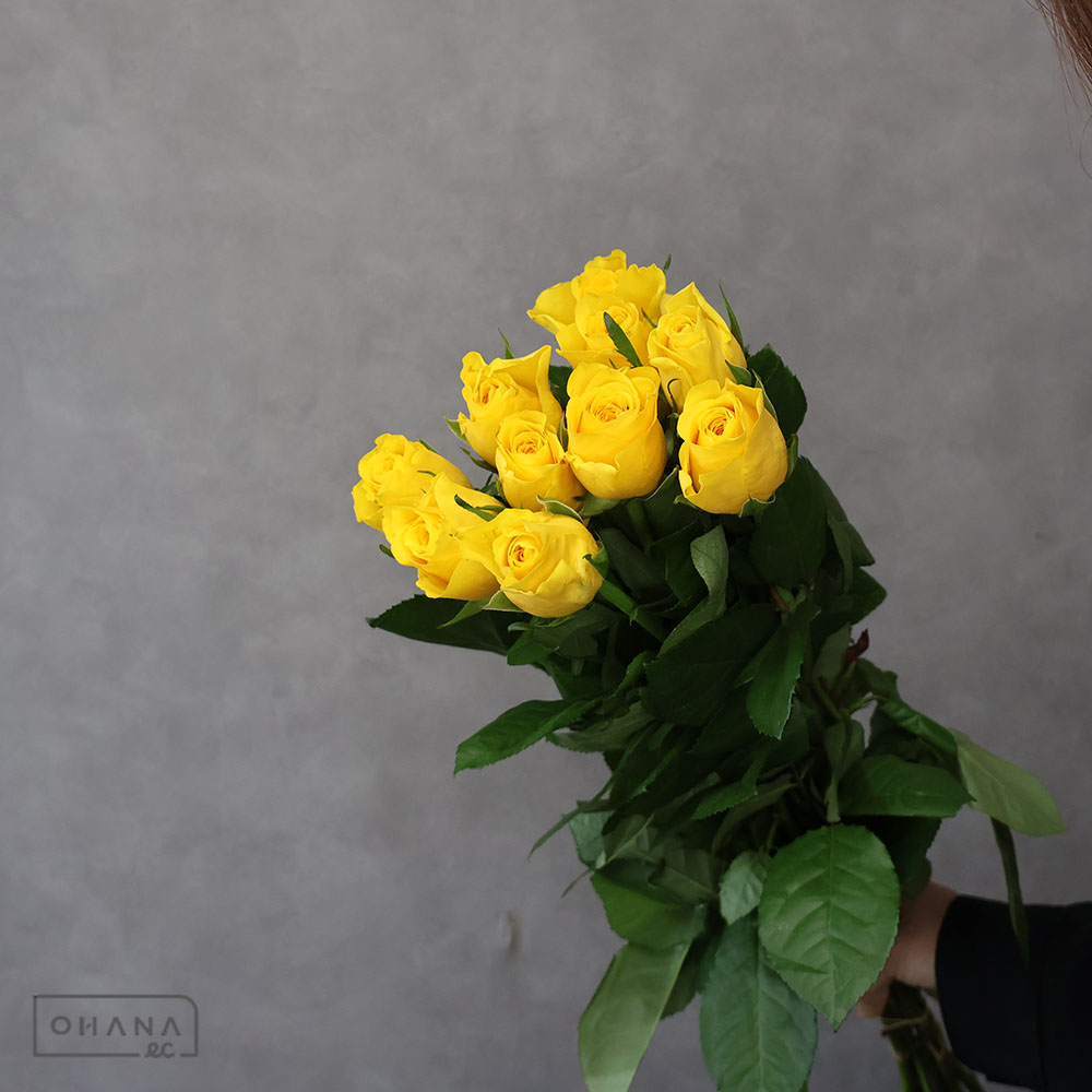 バラ ゴールドフィンチ 60CM