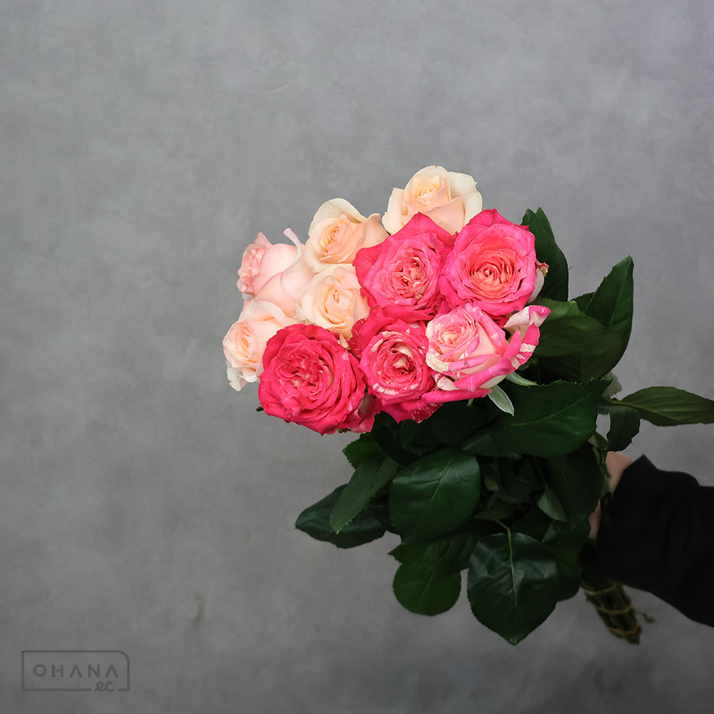 バラ MIX ① 70-60