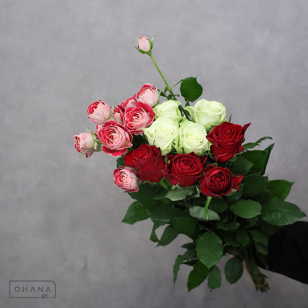 バラ MIX ② 70-60