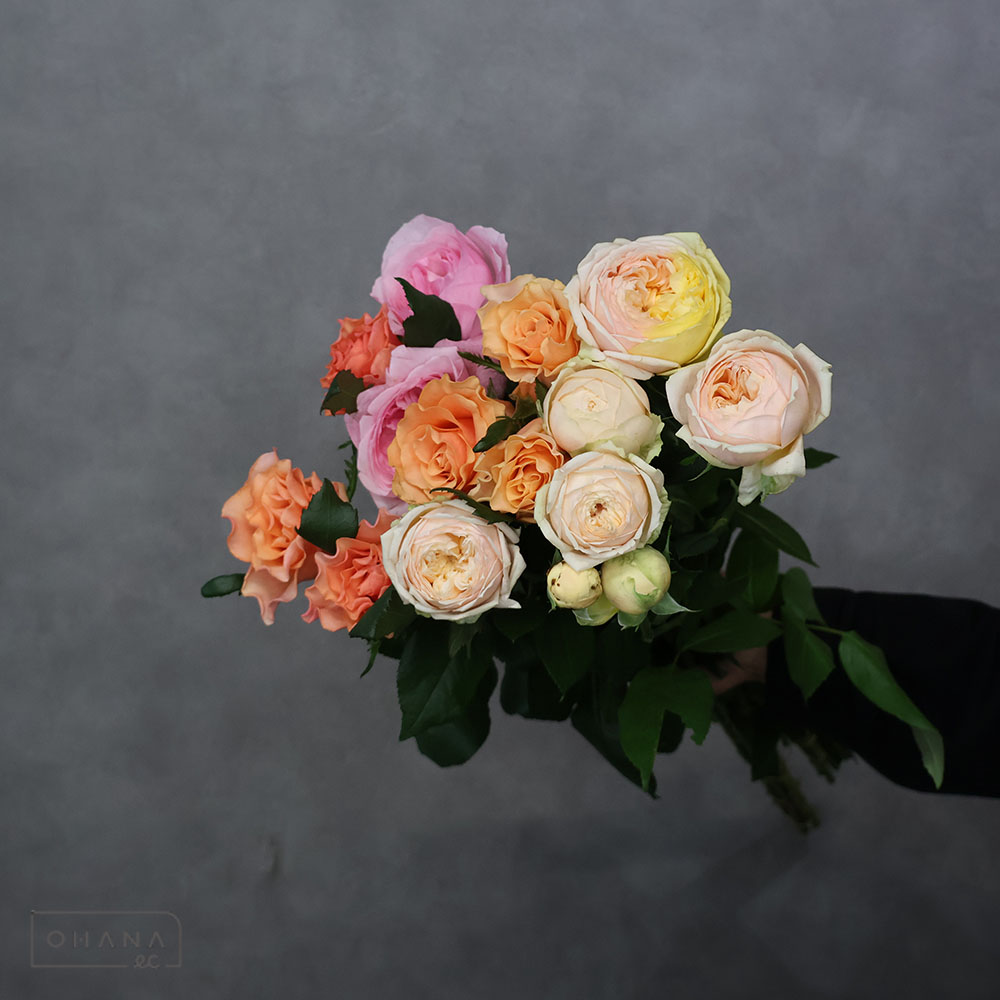 バラ MIX ③ 70-60