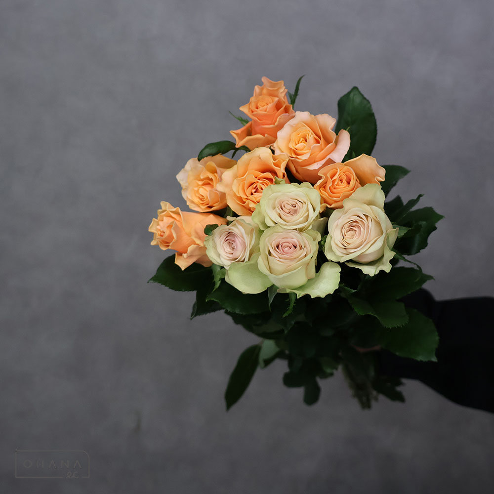 バラ MIX ⑤ 70-60