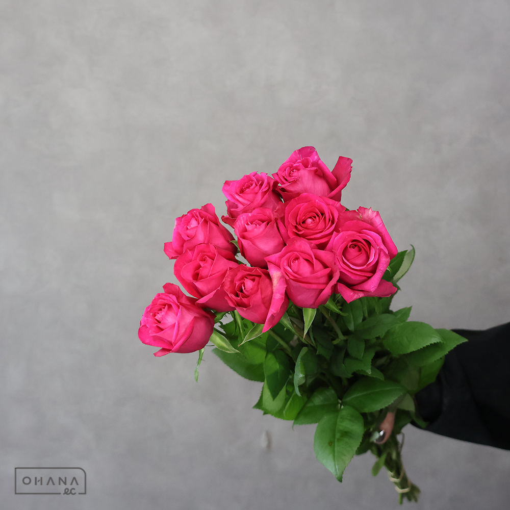 【SALE】バラピンク　パティスリー　秀 60cm　※クレーム対象外