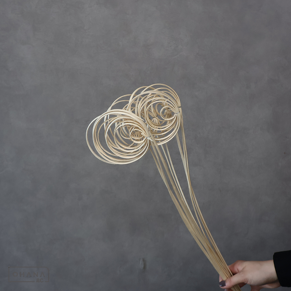 加工品 柳うず巻　白　