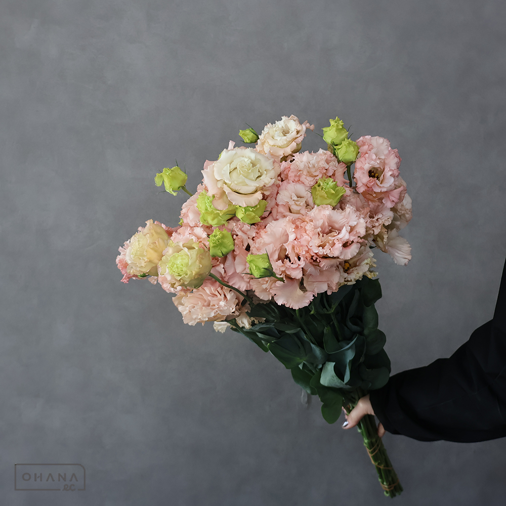 トルコキキョウ　セレブアプリコット　 ３輪 70cm