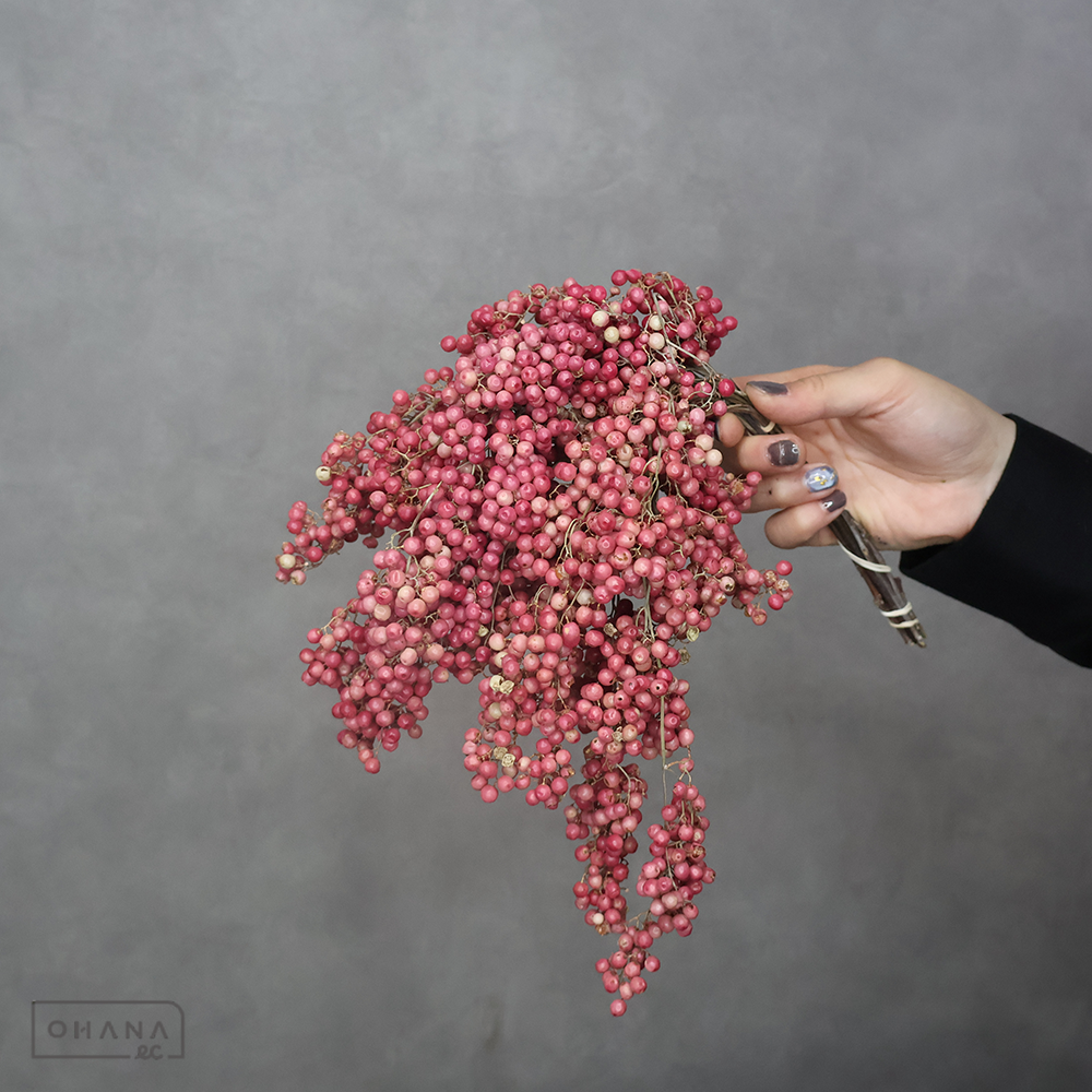 ペッパーベリー　