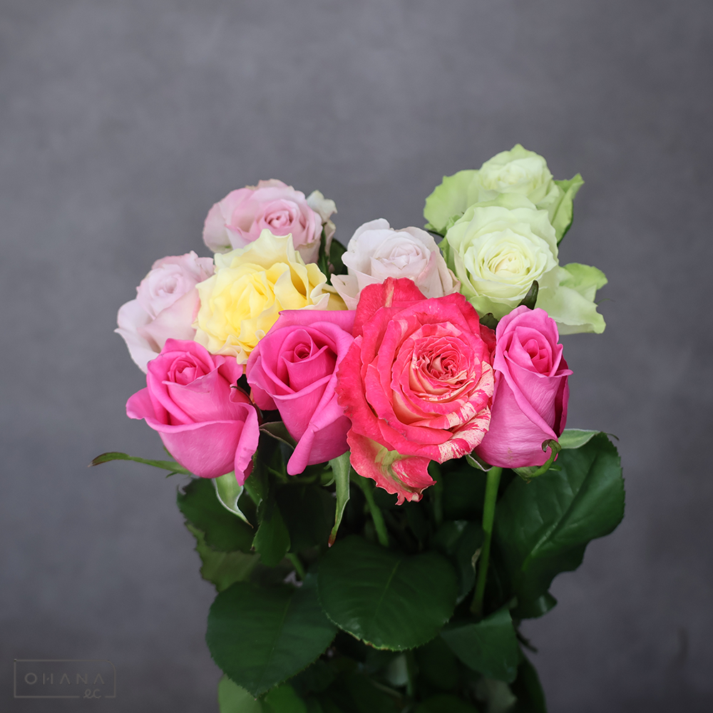 バラ MIX ②　70-60