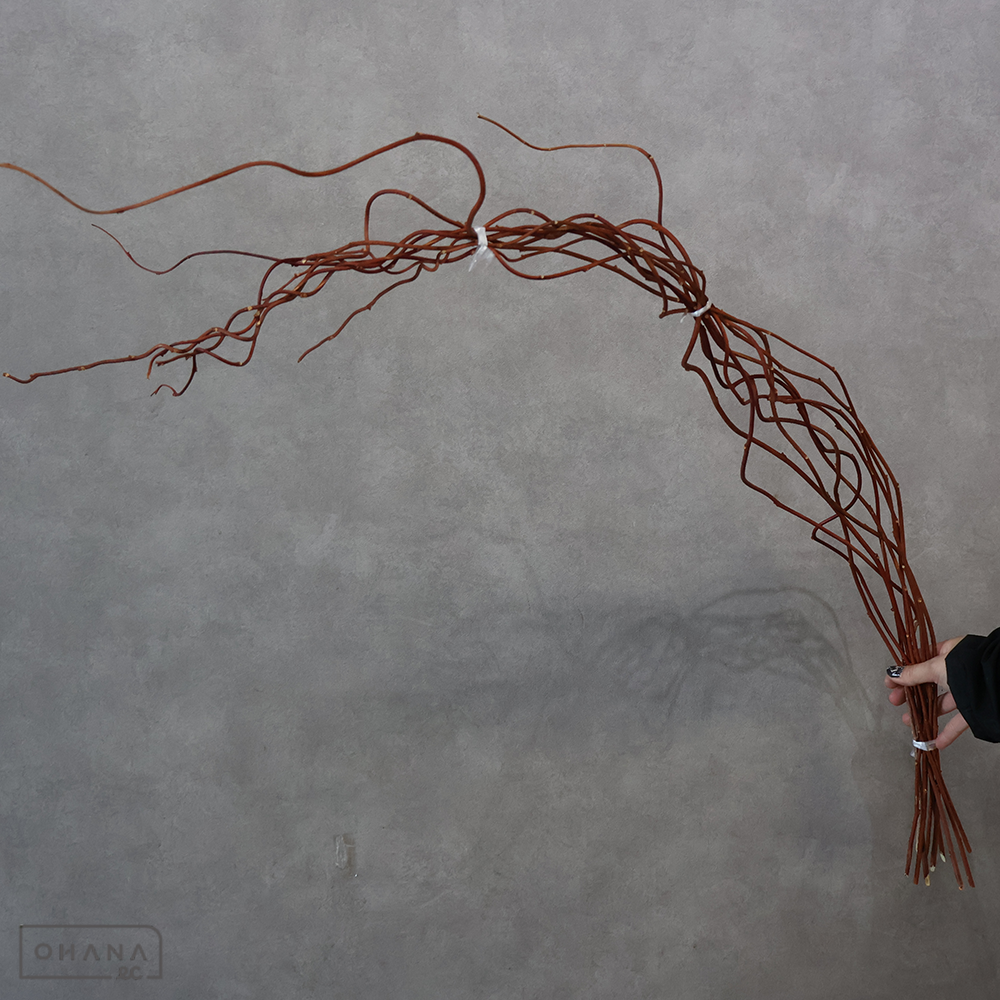 赤づる　120-100cm ※10本束