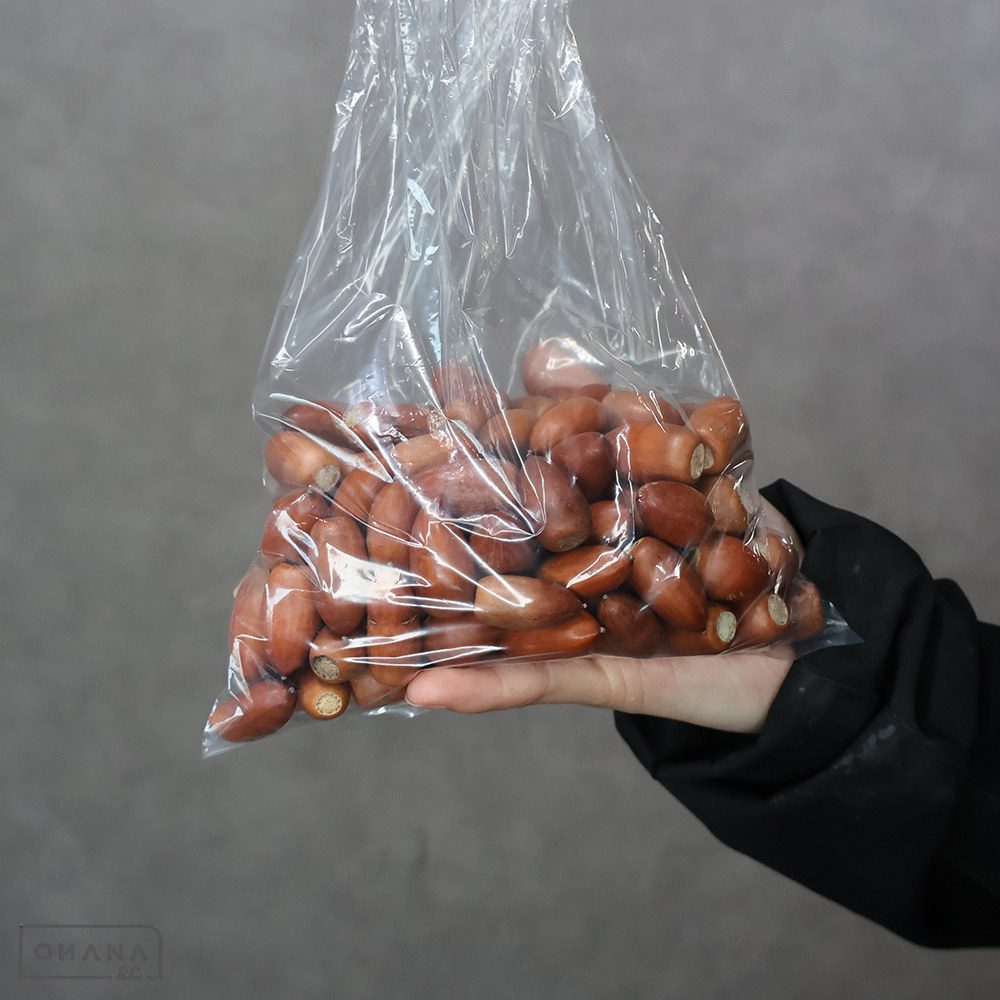 【SALE】どんぐり　B ※約350グラム ※クレーム対象外