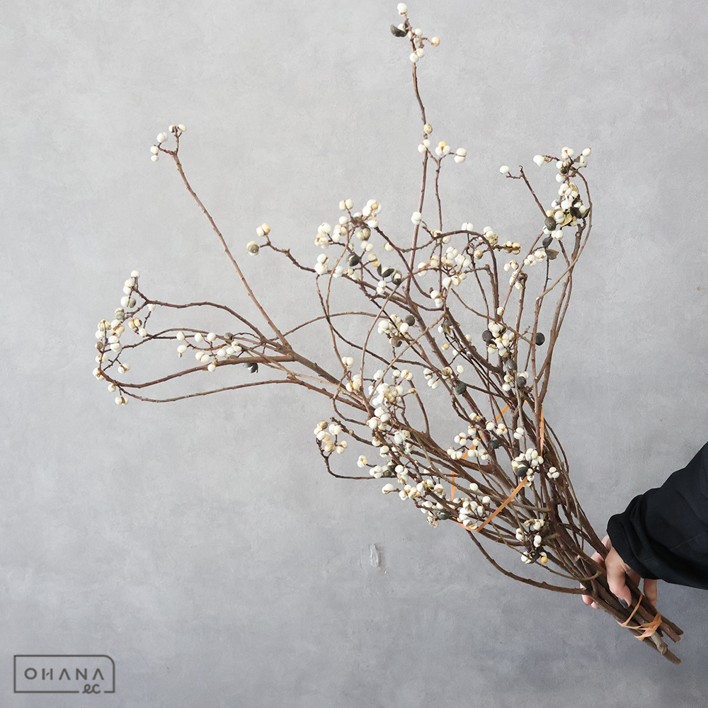 南京ハゼ　75-70