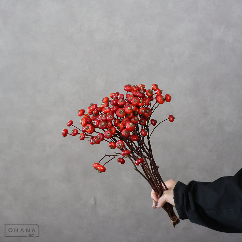 実バラ センセーショナルファンタジー　秀 50cm