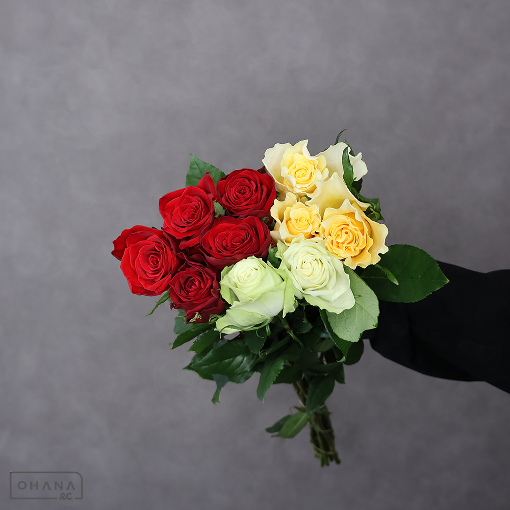 バラ MIX ③　70-60