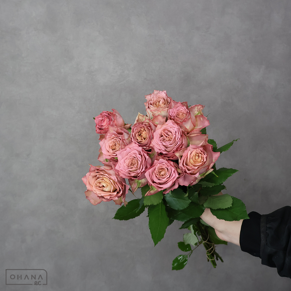 バラ複色　テナチュール　 40cm