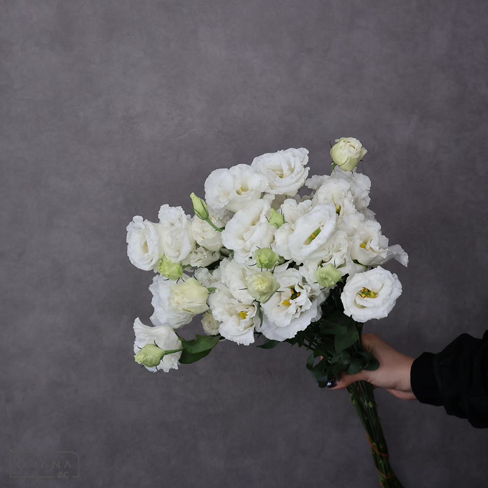 トルコキキョウ　ベールホワイト　秀 ３輪 70cm